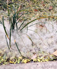 �����ţ���������ˣ�������ȫ�Ƕ��У���������������