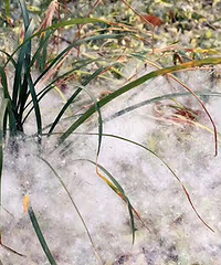 �����ţ��������ȫ�Ƕ��� ��������������