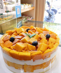 ȫ����â���ؽ������� ��â������ ȫ�ǹ��⣡