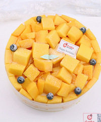 ȫ����â���ؽ������� ��â������ ȫ�ǹ��⣡