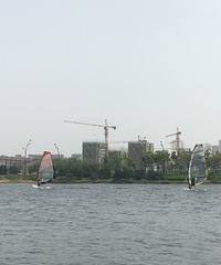 Ҧ�ҵ������� �������淫������