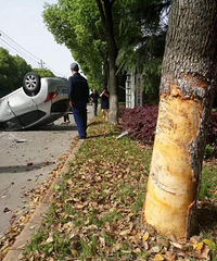 �飡�γ������˸��� ײ��ϡ���� ��ȫ���Ҷ�������