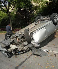 �飡�γ������˸��� ײ��ϡ���� ��ȫ���Ҷ�������