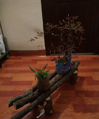 ����2������ ɹɹ�����Ļ����辰 ȫ������Ҫ�ӵĶ���