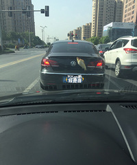 ��β��������Ҫ������  ����·��̫����������