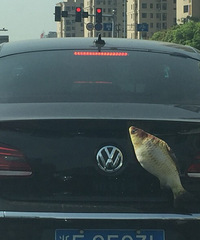 ��β��������Ҫ������  ����·��̫����������