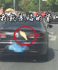 ���⣡��ƨ��������һ���㡭