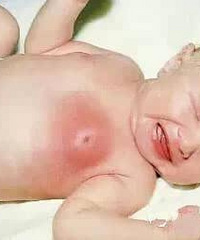 ����Ҫ����������ͷ ��˵��������������ͷ��������