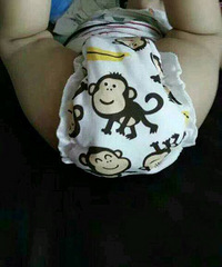 ���Ÿ�������򲼿� ���ѣ�������ʵ�ã�