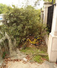 ���Ǽ��˲ص���õ�һ��С�Ƴ���һ���˹����Ҳ���