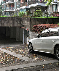 ����ͣ�������ǿ�������ֻ����s��