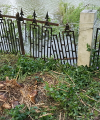 ���ۣ�С�����пúܴ���������� ��Ȼ���ں���