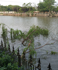 ���ۣ�С�����пúܴ���������� ��Ȼ���ں���