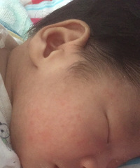 ����ʪ��