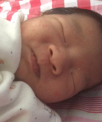 ����ʪ��