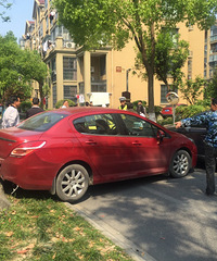 �޳�����ԷС����3����ײ �о�������ľ