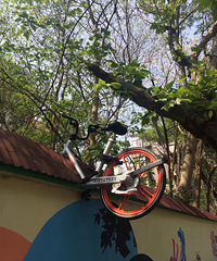 �ĺ������������ϴ����������������ǽ��