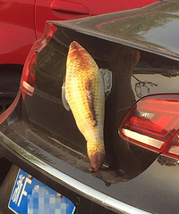 �������ڿ����� ԭ�����ò��������