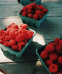 ���·ݵ��� �����Ǵ�Ƭ��Ƭ����Ұݮ�����ģ�