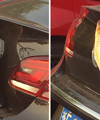 �������ڿ����� ԭ����������������