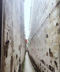 �������� ʮ���һ�