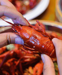 ɹС��Ϻ ��DQ������