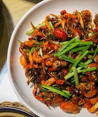 �Ƽ���Թ���С��Ϻ ��DQ����ѩ��~