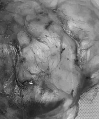 1���޲��ҿ޲����� ԭ����������!