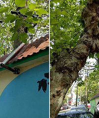 ������ǽ�ˣ��Ҿ���������զ��ȥ�ģ�