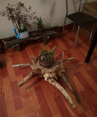 �ҵĻ����辰2�� ������һ���ϵĹ���