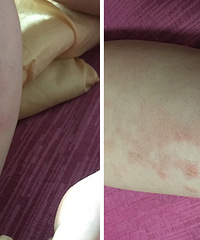 8��������ð����� ʪ�������