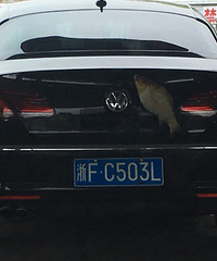 �������㣿����ͷ��Щ�˶���ô��İ�