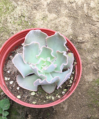 �������������̲����װ� ������ͳ������ͻ�����