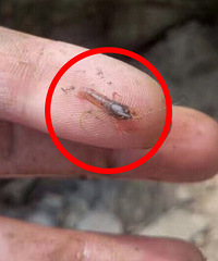 ɹɹ�ҵ���С��Ϻ �޴��ޱ�