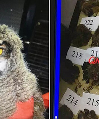 ������ɱ���Եģ����˽������´�� ������