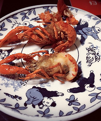 б���ֵ�С��Ϻ��  һֻ��һֻ ����ͣ������ ����Ҳ����