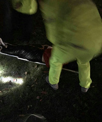 ������ҹ���� ���Ǵ���������������ס����ͷ