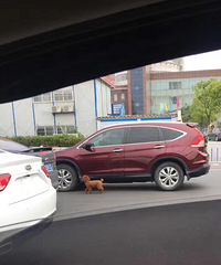 ̩�Ϲ������ų�����һ· ������Թ�Ⱥ�ڲ�������