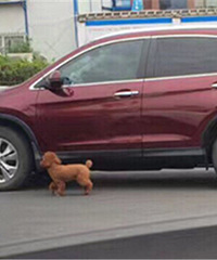 ���ˣ���̩�Ϲ������ų�����һ·��