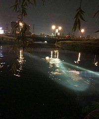 ����һ18��С�����Ӻ���˺����� ������������