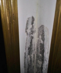 ǽ����۳��⸱�������ӣ�