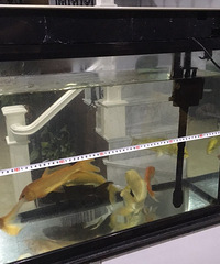 ת���������2��