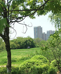 [����]�����ѳ�ͣ�� �����в�����������