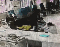 ������Ӷ�����һ�� ������ʿ���ҳ��߷��ڵأ����澹������