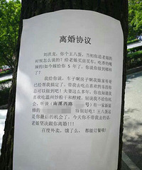 ����ͷ���֡����Э�顱  ʵΪ�̼Ҵ��׹��