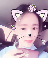 ����֤��ʧ