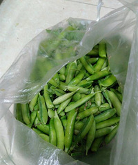 ��������������ã���Щ�������������������