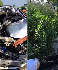 ���Ʋһ�������ֱ�ӱ��ϣ�����ֱͦͦ���ڵ���