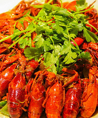 ���������С��Ϻ һ����һ��������