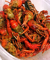 С��Ϻ �������̲�ס������ �Ƽ����κ�ʮ����ζ